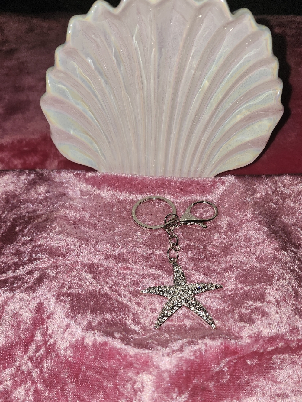✨️NWT SILVER RHINESTONE STAR FISH CHARM/ KEY CHAIN ✨️